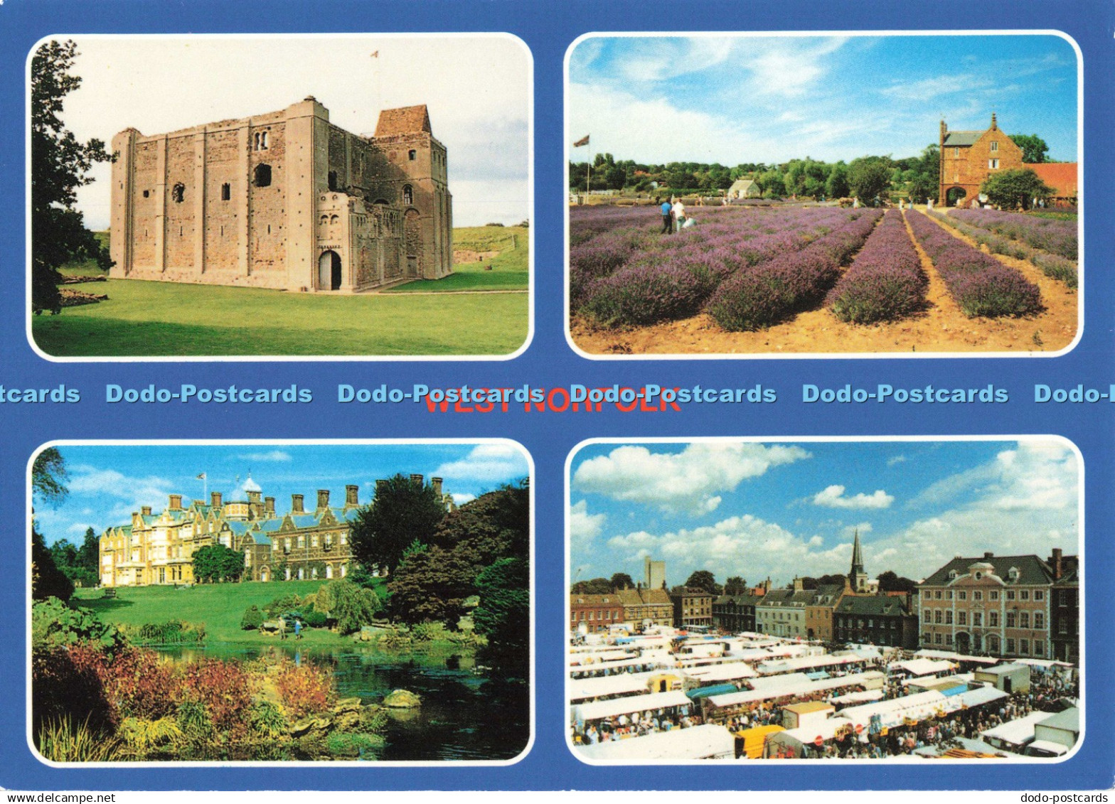 D257487 West Norfolk Norfolk Lavender C P S Multi View - Monde