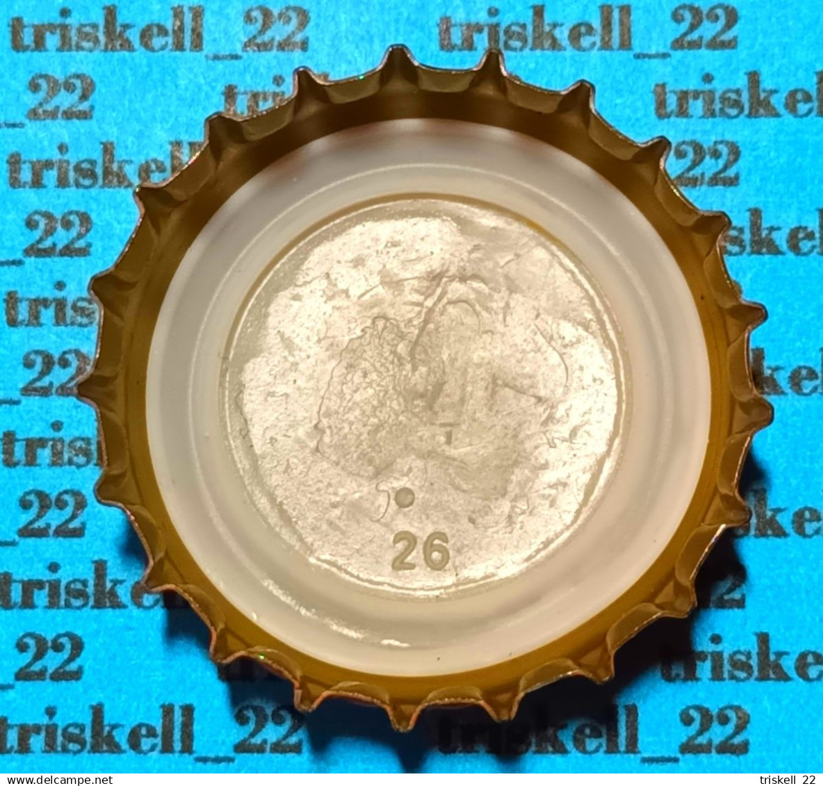 Troubadour Magma   Mev12 - Birra