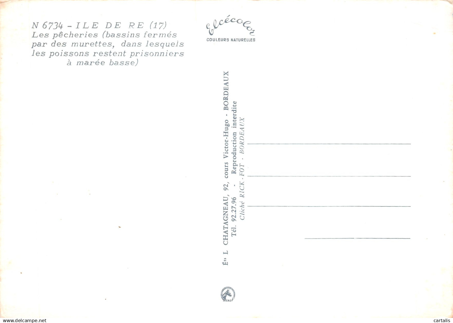 17-ILE DE RE-N°C-4327-C/0015 - Ile De Ré