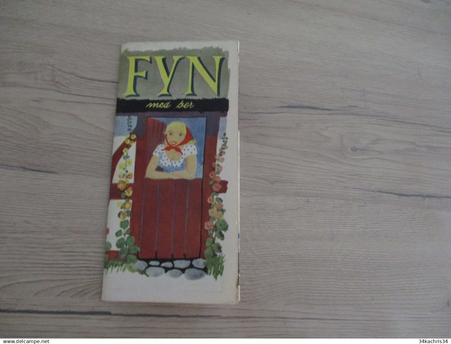 Guide Touristique Dépliant Dannemark F0DEnmark Funen Fyn - Europe