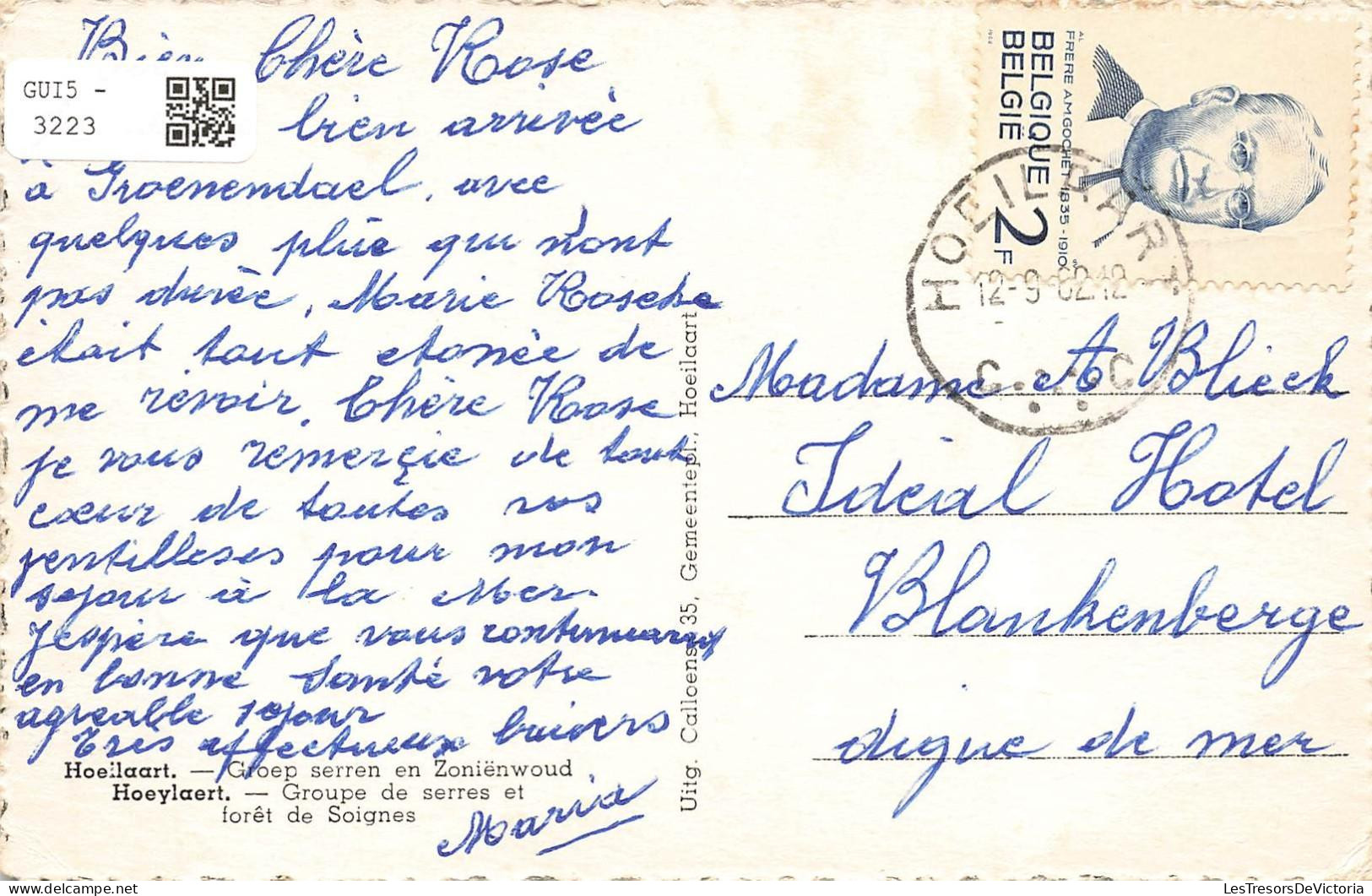 BELGIQUE - Hoeylaert - Groupe De Serres - Village - Forêt De Soignes - Uitg Calloens - Carte Postale Ancienne - Hoeilaart