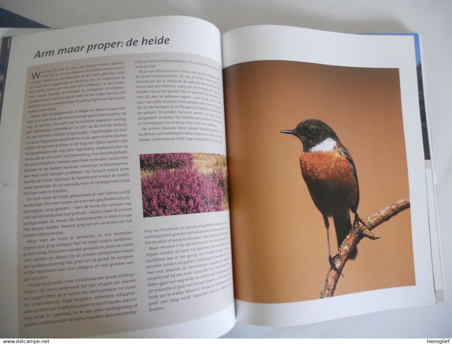 De mooiste natuurplekjes van België - Westhoek Damme Meetjesland Kalmthout heide Schelde Hallerbos Altenbroek Zoniënwoud