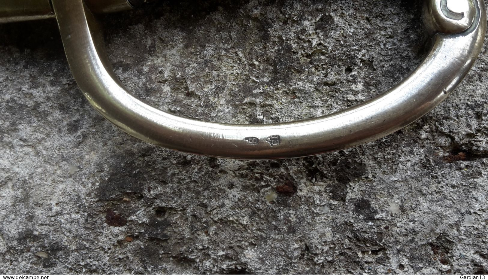sabre type vieille garde époque restauration avec ffourreau be