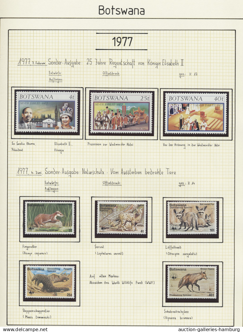Botswana: 1966-2007, Schön Gestaltete Sammlung Auf Selbst Gezeichneten Blättern - Botswana (1966-...)