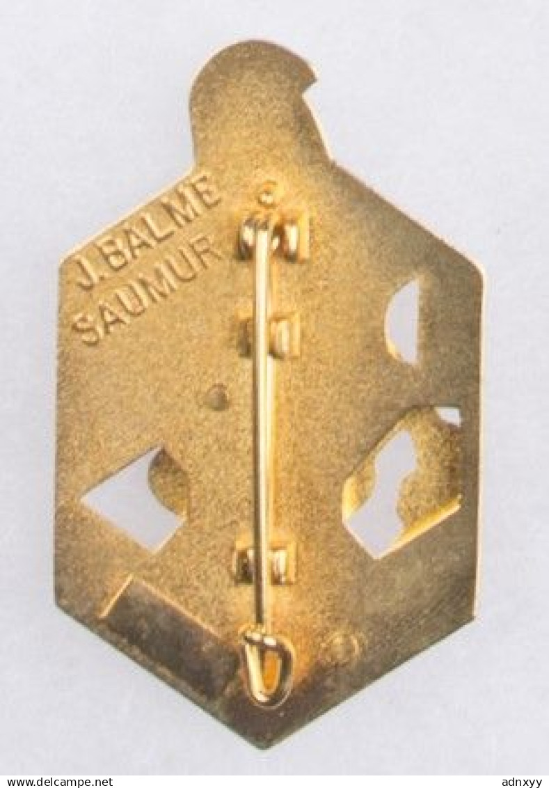 Insigne Légion Etrangère 6e REG DINOPS Balme - Army