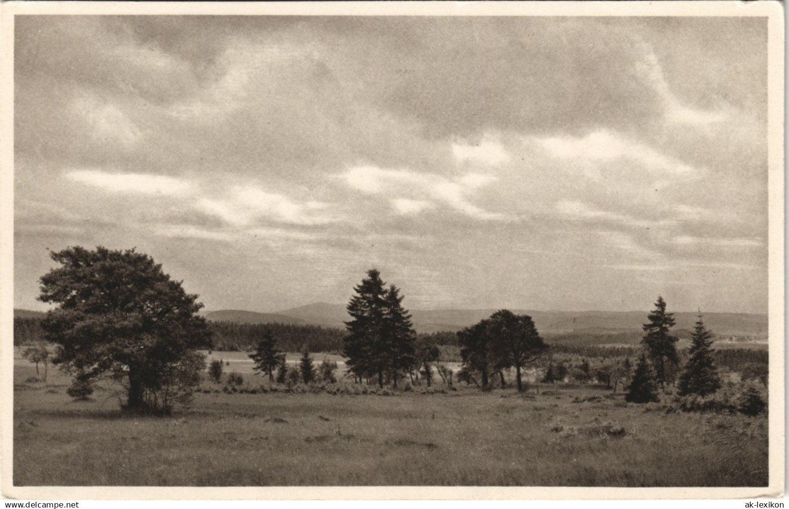 Ansichtskarte Geyer Umland-Ansicht Hermannsdorfer Wiesen 1930 - Geyer