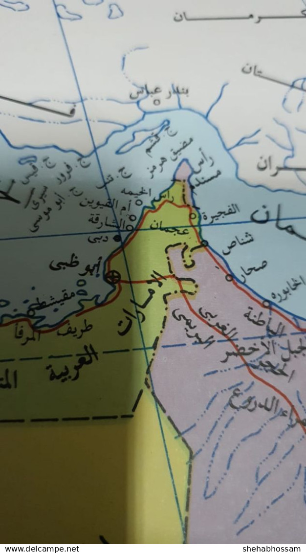 Map Of The Arab World  100 X 60 CM - Middle East Center For Map Publishing - Topographical Maps