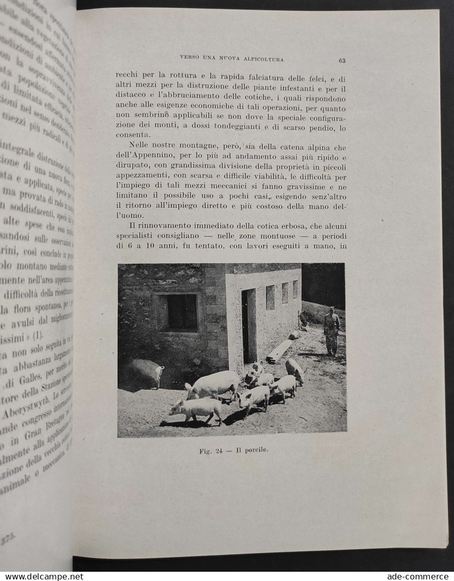 Verso Una Nuova Apicoltura - V. Vezzani - Ed. STEN - 1944 - Gezelschapsdieren