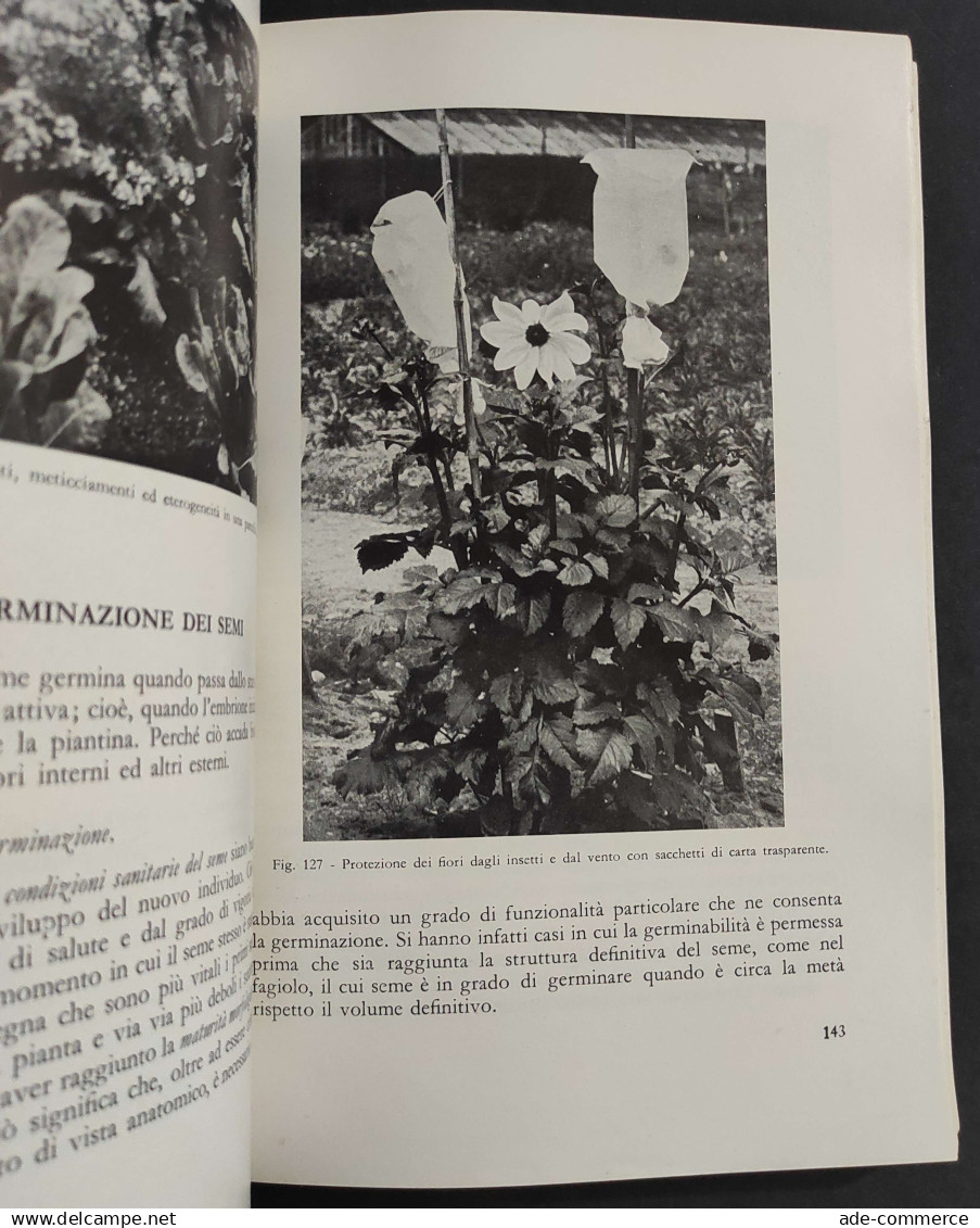 Il Mondo Vegetale - Strutture E Substrutture - S. Mazzi - P. Strigoli - Ed. Edagricole - 1977 - Garten