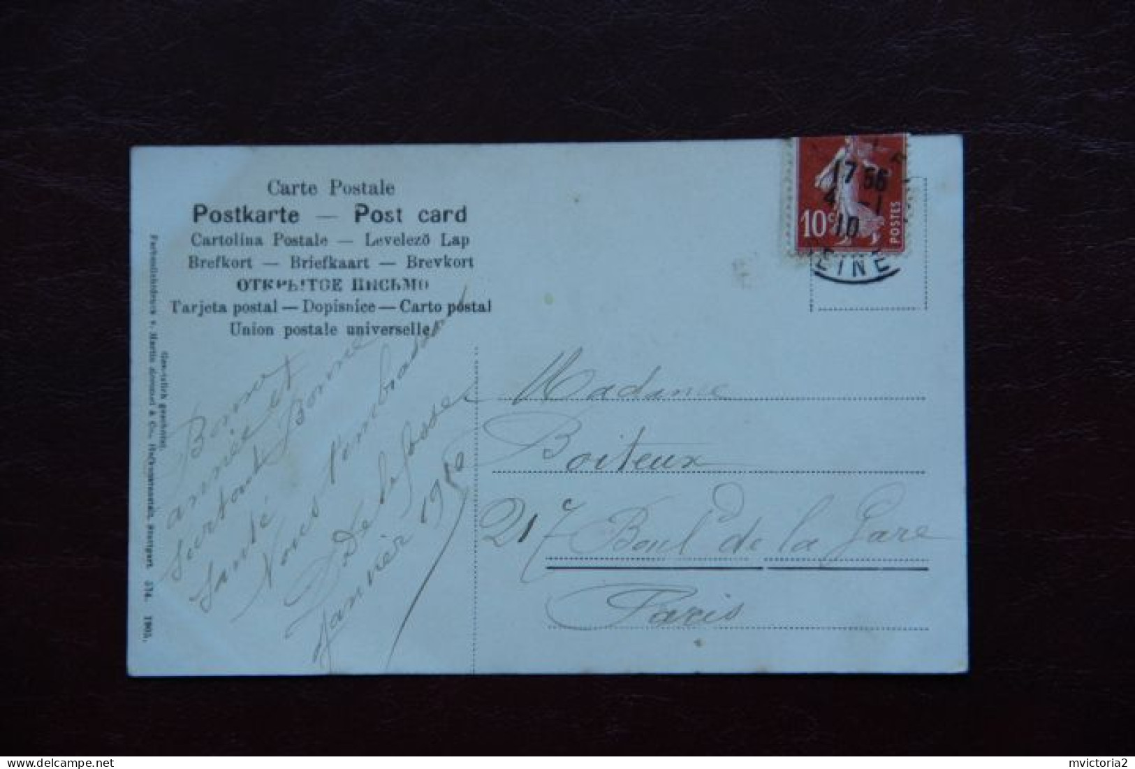 PLANTE : GUI - Giftige Pflanzen