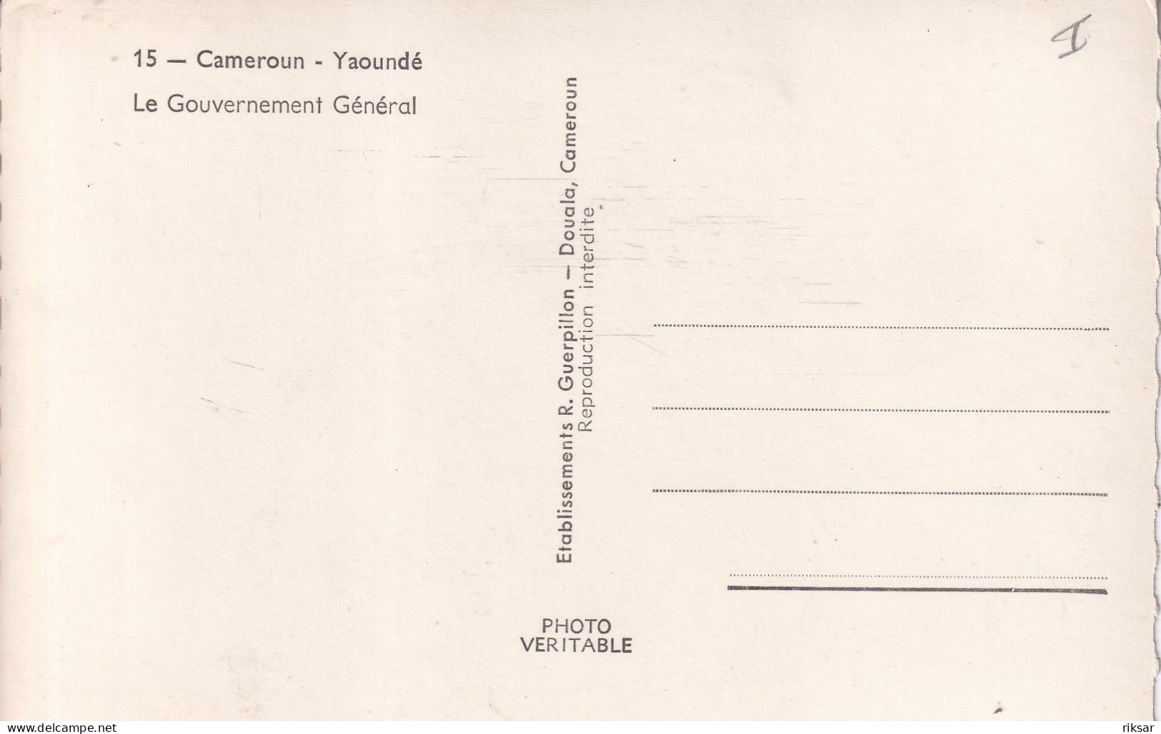 CAMEROUN(YAOUNDE) ARBRE - Kamerun