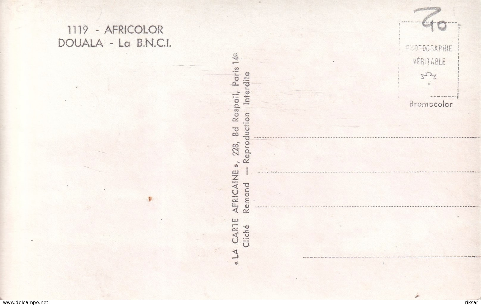 CAMEROUN(DOUALA) ARBRE(BNCI) - Kamerun