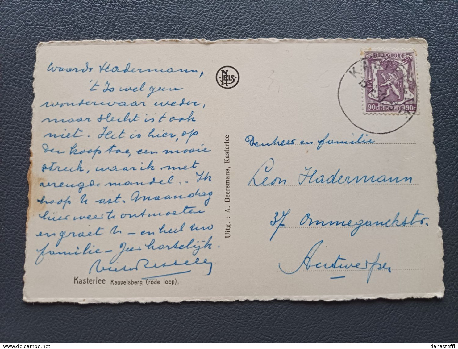 KASTERLEE  KAUVELSBERG - Kasterlee