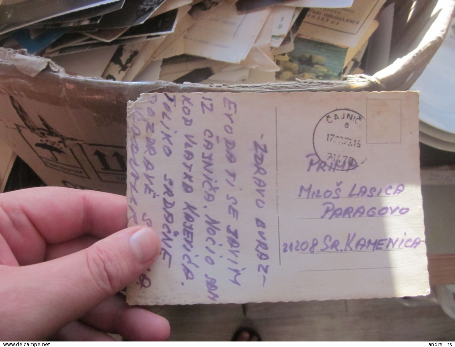 Pin Ups Swimsuit - Pin-Ups