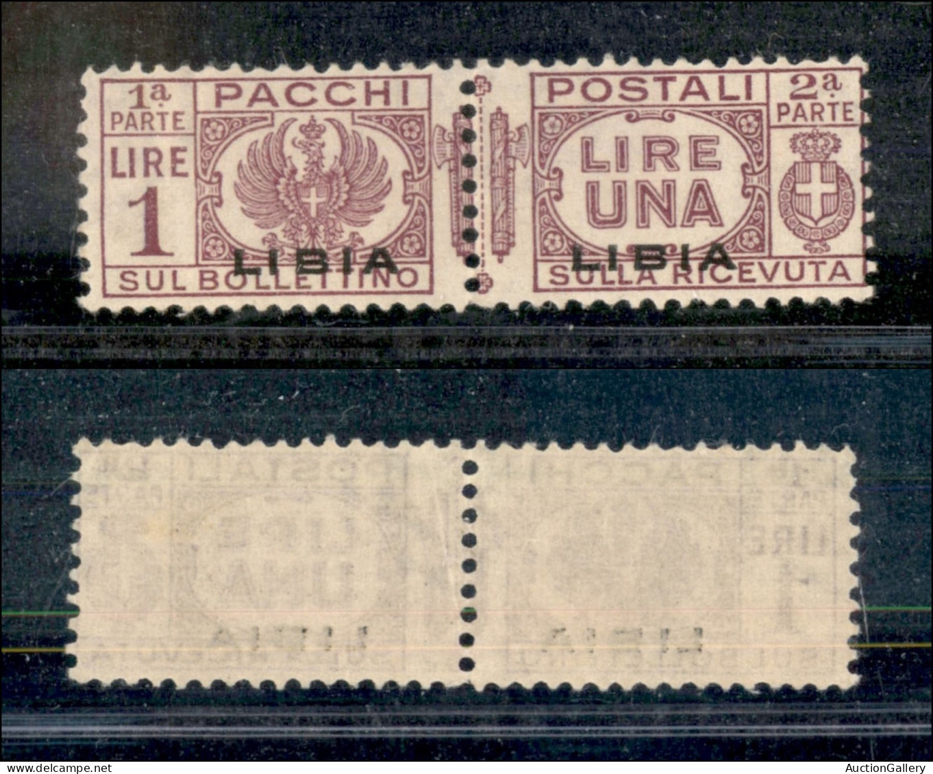 Libia - 1937 - Pacchi Postali - 1 Lira (19) - Gomma Integra (140) - Autres & Non Classés