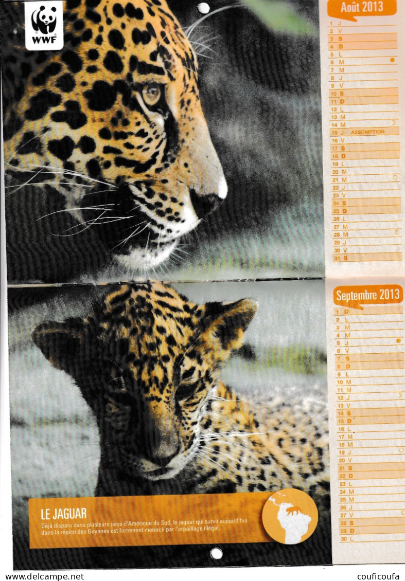 Calendrier WWF DES Donateurs - Big : 2001-...
