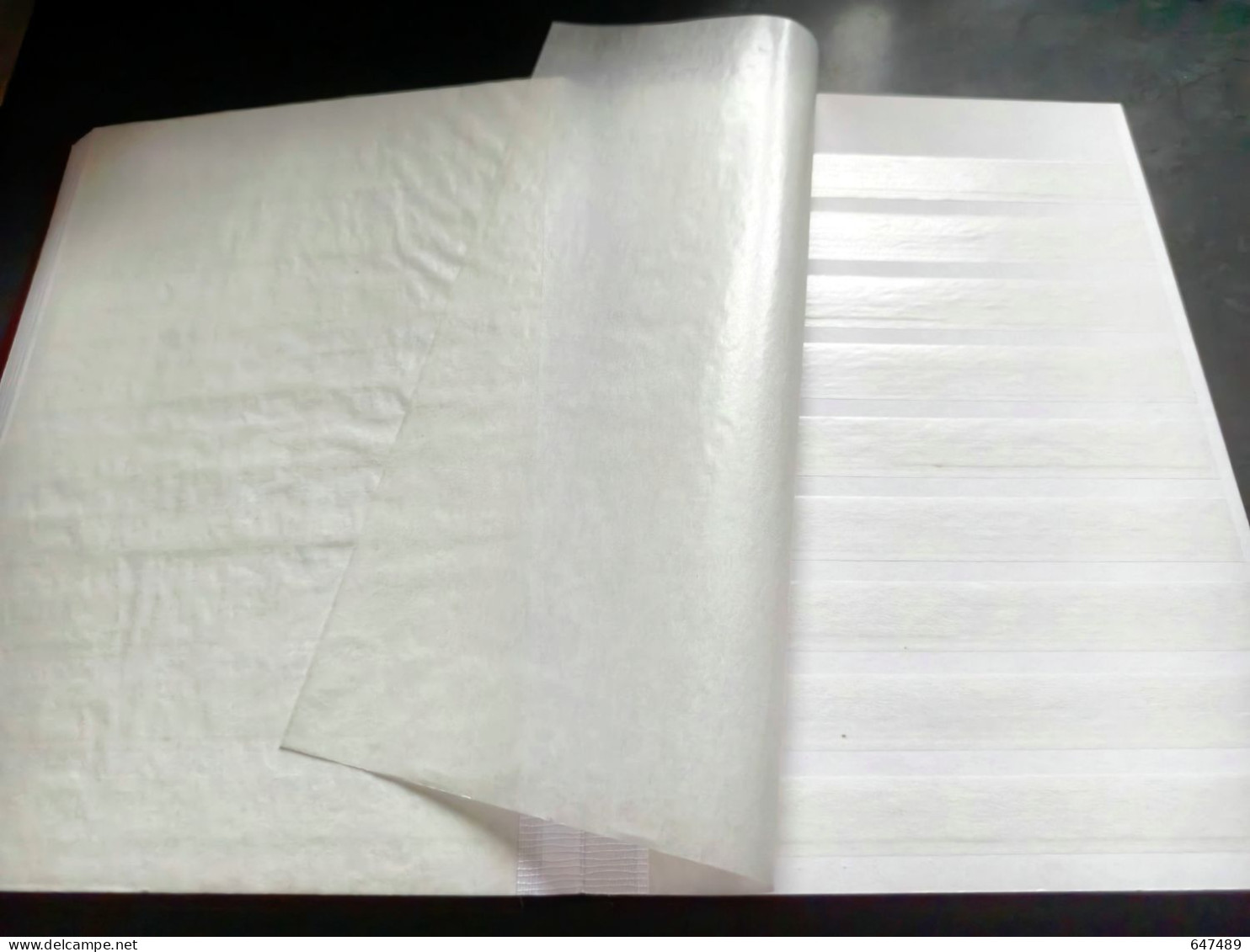 (F2) 2 X Albums De Timbres Au Format A4, 32+24 Pages Intérieures, 9+10 Bandes, Fond Blanc - Formato Grande, Sfondo Bianco