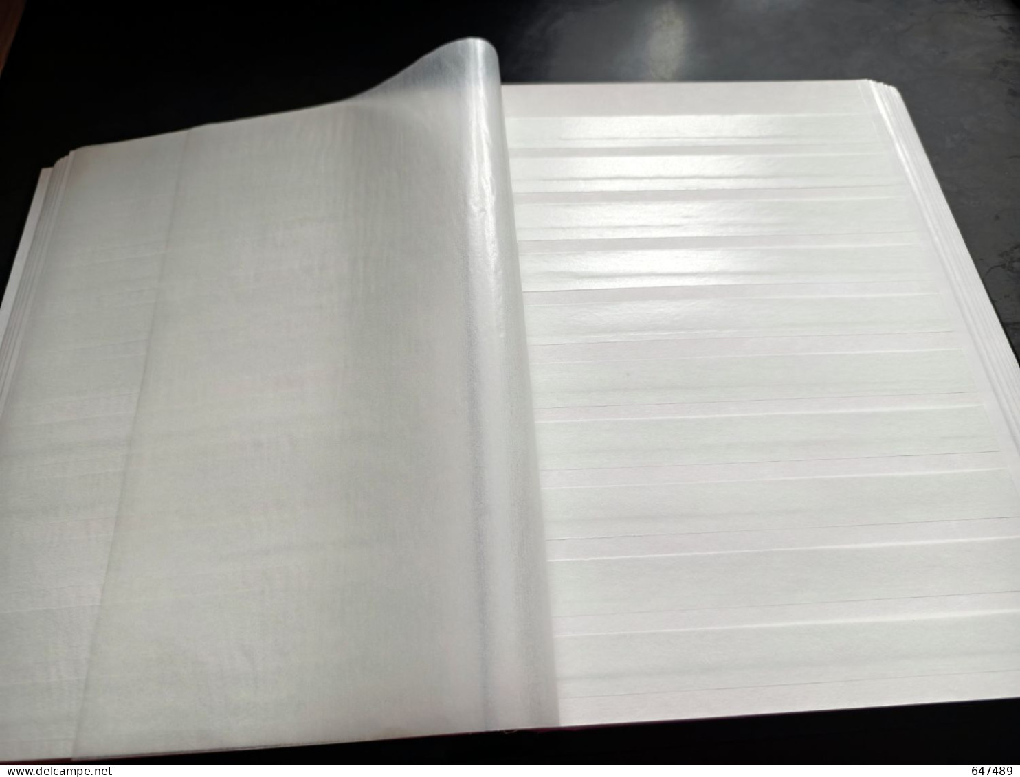(F2) 2 X Albums de timbres au format A4, 32+24 pages intérieures, 9+10 bandes, fond blanc