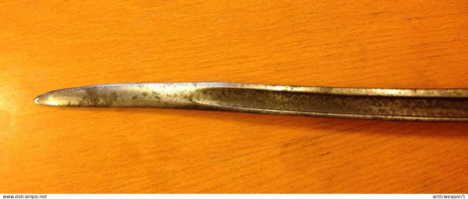Cadet de type cimeterre Baïonnette. France (473)