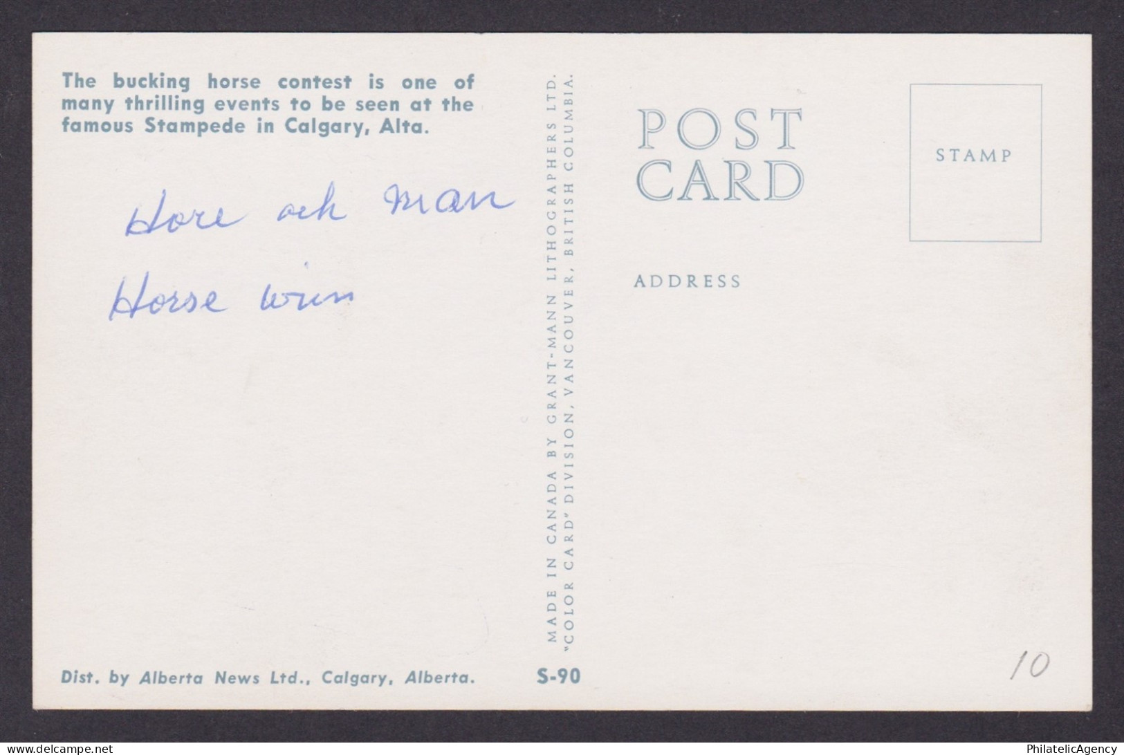 Postcard, Canada, Stampede , Calgary Alberta - Calgary