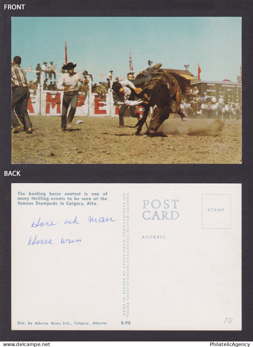 Postcard, Canada, Stampede , Calgary Alberta - Calgary