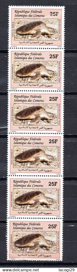 Bande 6 Timbres Comores 1995 Tortue 25F - Komoren (1975-...)