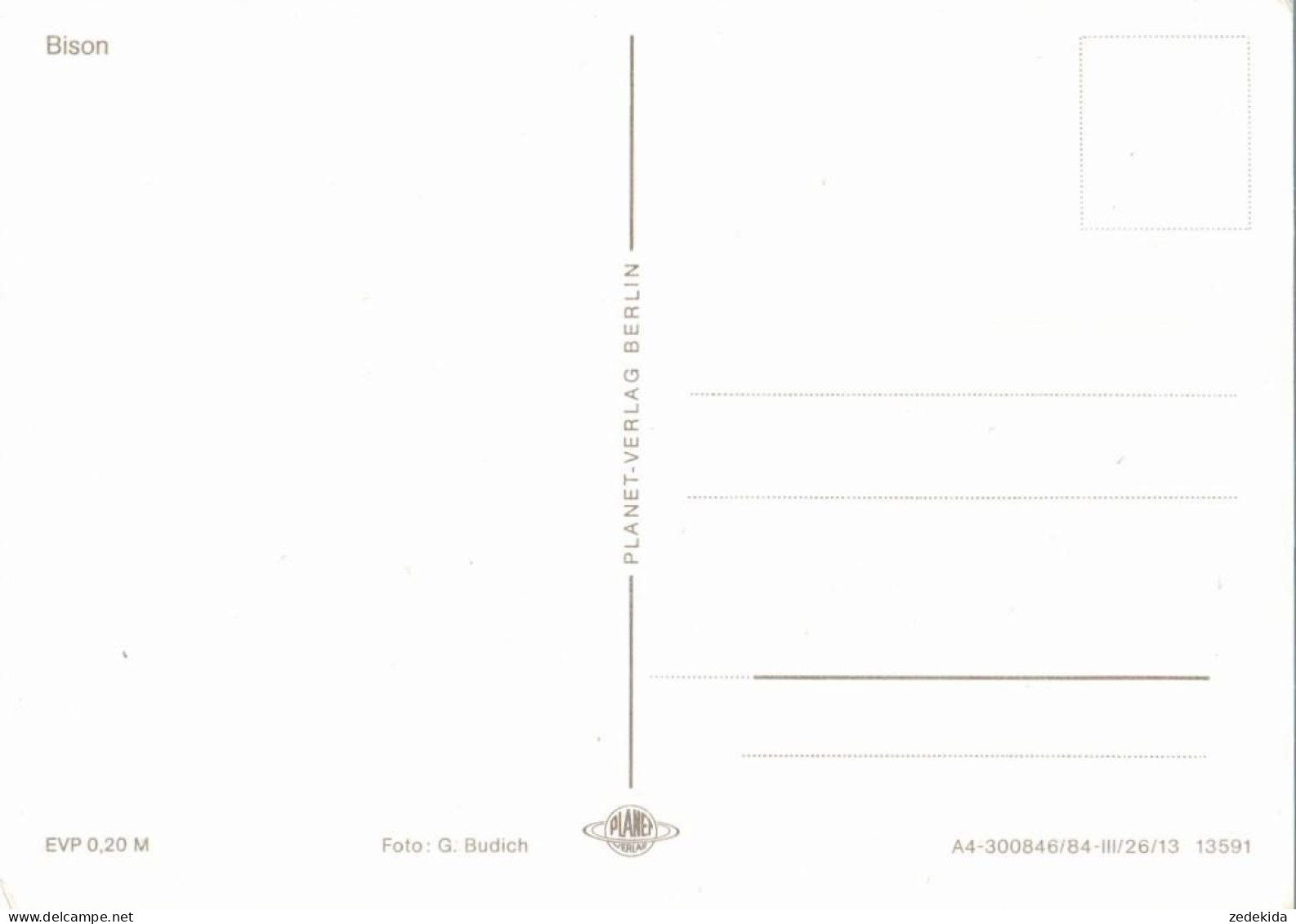 I4969 - Bison Büffel - Planet Verlag DDR - Taureaux
