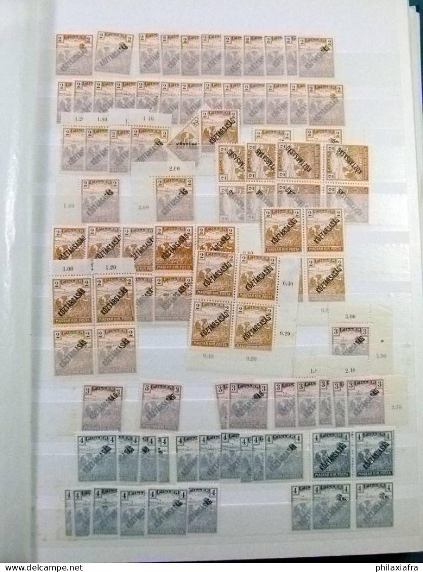 Collection Hongrie, de classiques, avec timbres neufs et oblitérés, répétés