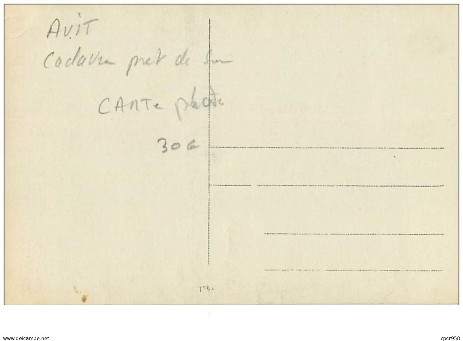 Aviation. N°35179.cadavre A Cote De Son Avion Ou Ballon Apres Un Accident.carte Photo - Unfälle