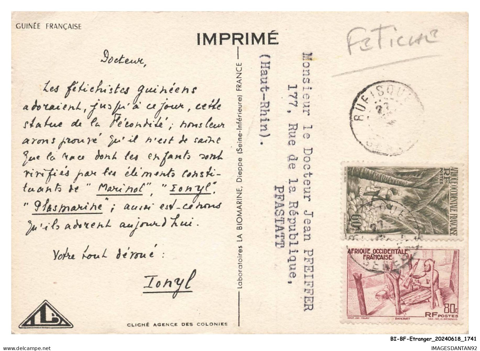 BI-BFP1-0871-GUINEE FRANCAIS - Vue Sur Un Fétiche - Französisch-Guinea