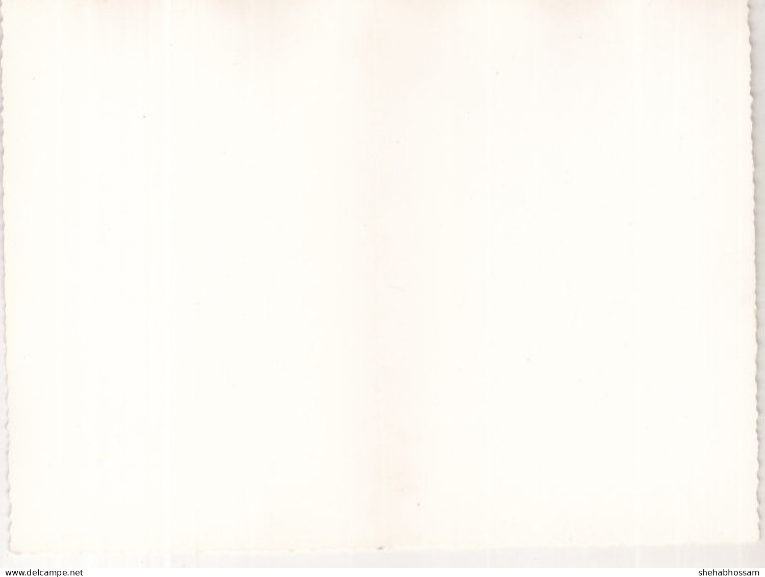 EGYPT POST CARD -Water Release From A Well In The Desert  -  B2 - Alexandria