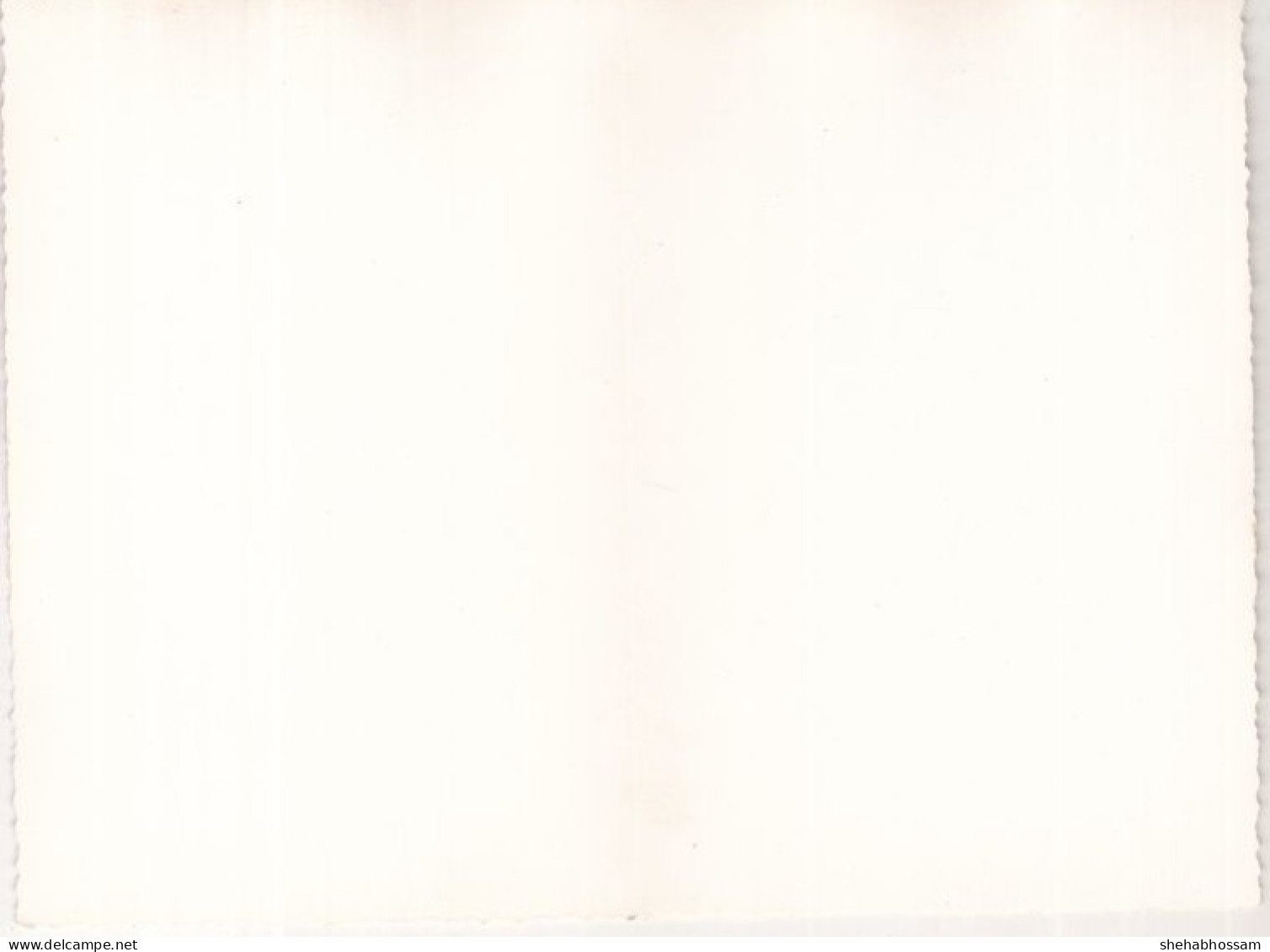 EGYPT POST CARD -Water Release From A Well In The Desert  -  B2 - Alexandria