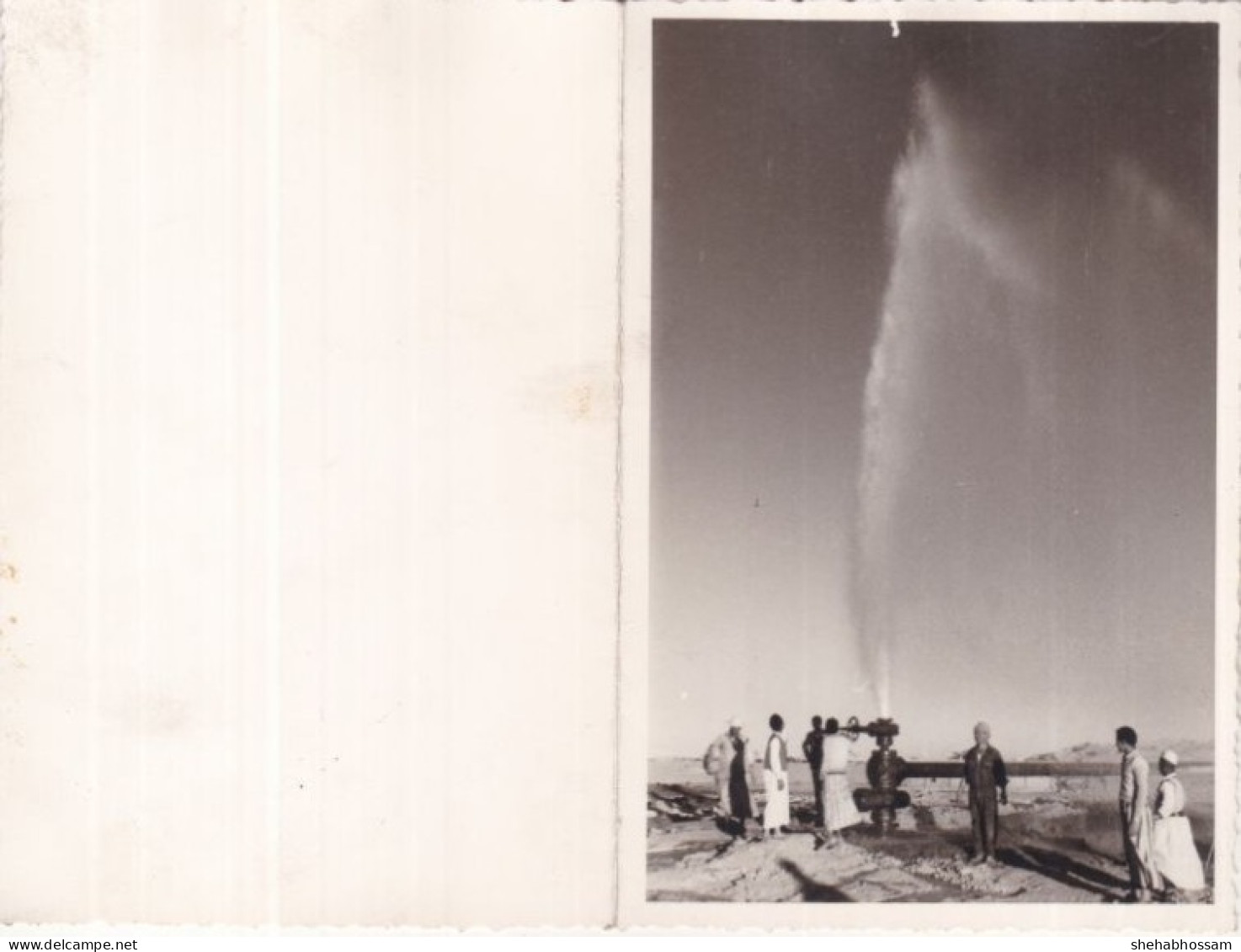 EGYPT POST CARD -Water Release From A Well In The Desert  -  B2 - Alexandria