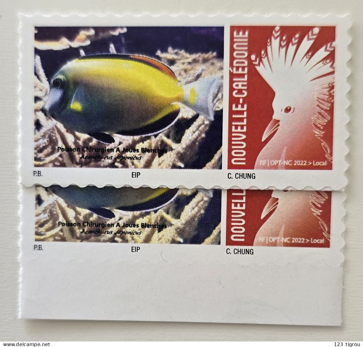 VARIETE CAGOU PERSONNALISE LOGO POISSON CHIRURGIEN A JOUES BLANCHES 2024 EXTRAIT D'UNE FEUILLE DE 25 TIMBRES TB - Ungebraucht