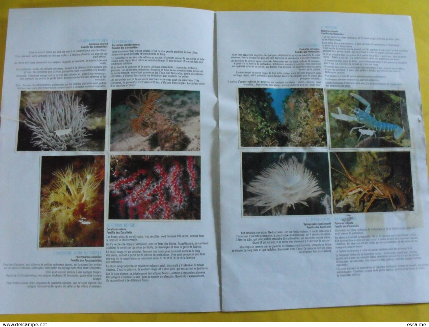 Chocolat Poulain. Dossier Connaissance De La Mer Et De Sa Faune. Complet. Années 1970. Album D'images Collées. - Poulain