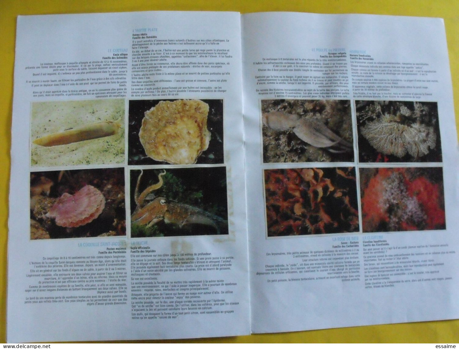 Chocolat Poulain. Dossier Connaissance De La Mer Et De Sa Faune. Complet. Années 1970. Album D'images Collées. - Poulain