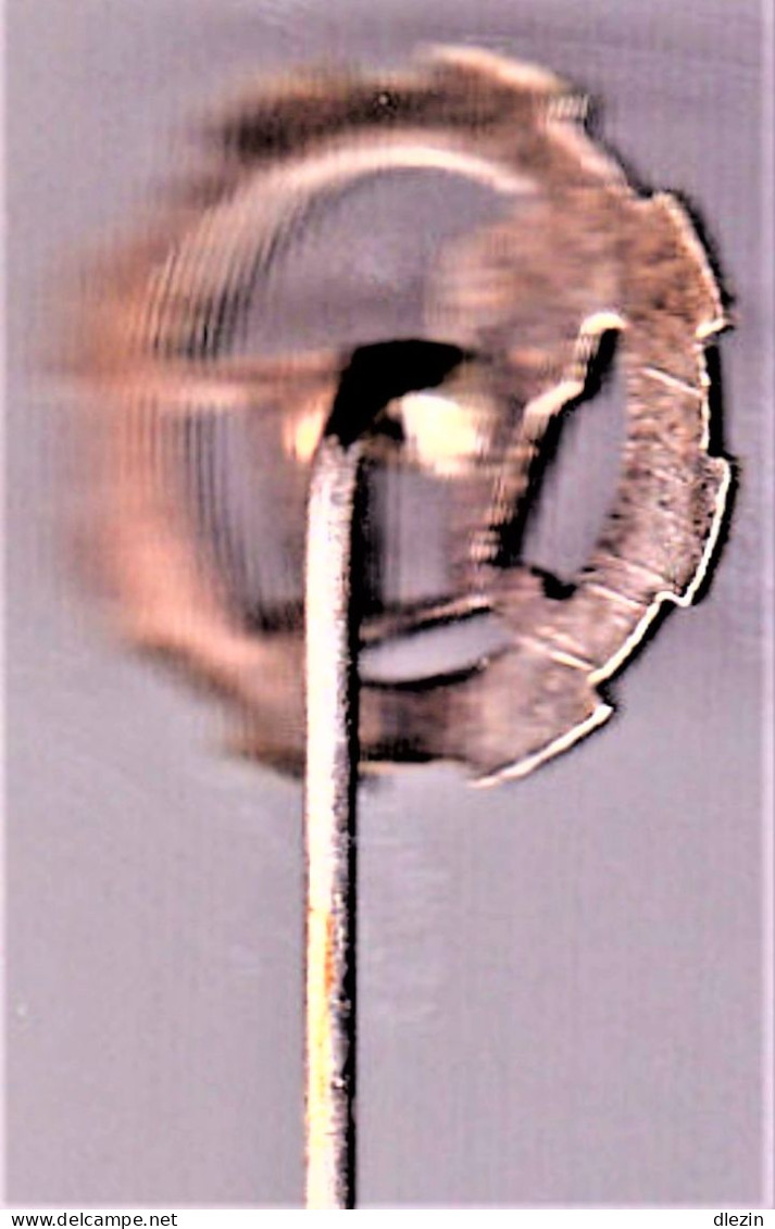 1° RCA. 1° Régiment De Chasseurs D'Afrique. SM. Insigne De Boutonnière épinglette. - Army