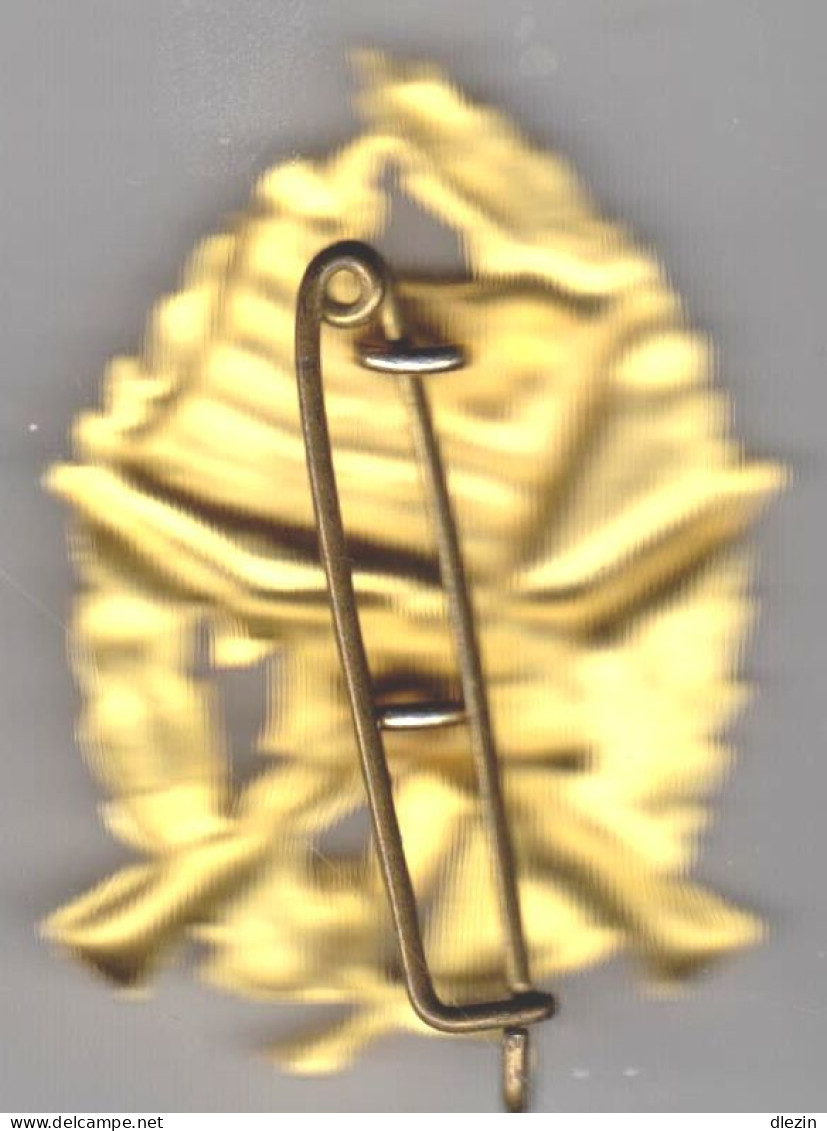 République Du Togo. Forces Armées. T3. 34 Mm X 46 Mm. SM. - Army