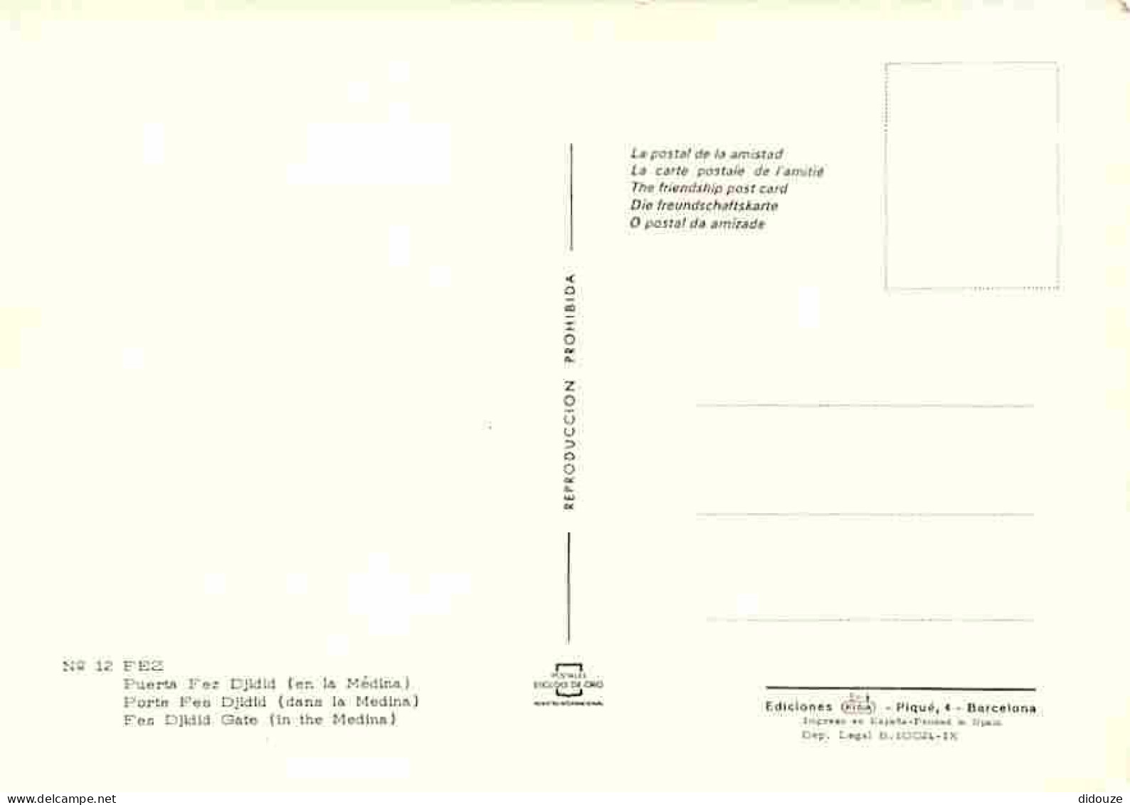 Maroc - Fez - Porte Fes Djibid Dans La Médina - CPM - Voir Scans Recto-Verso - Fez