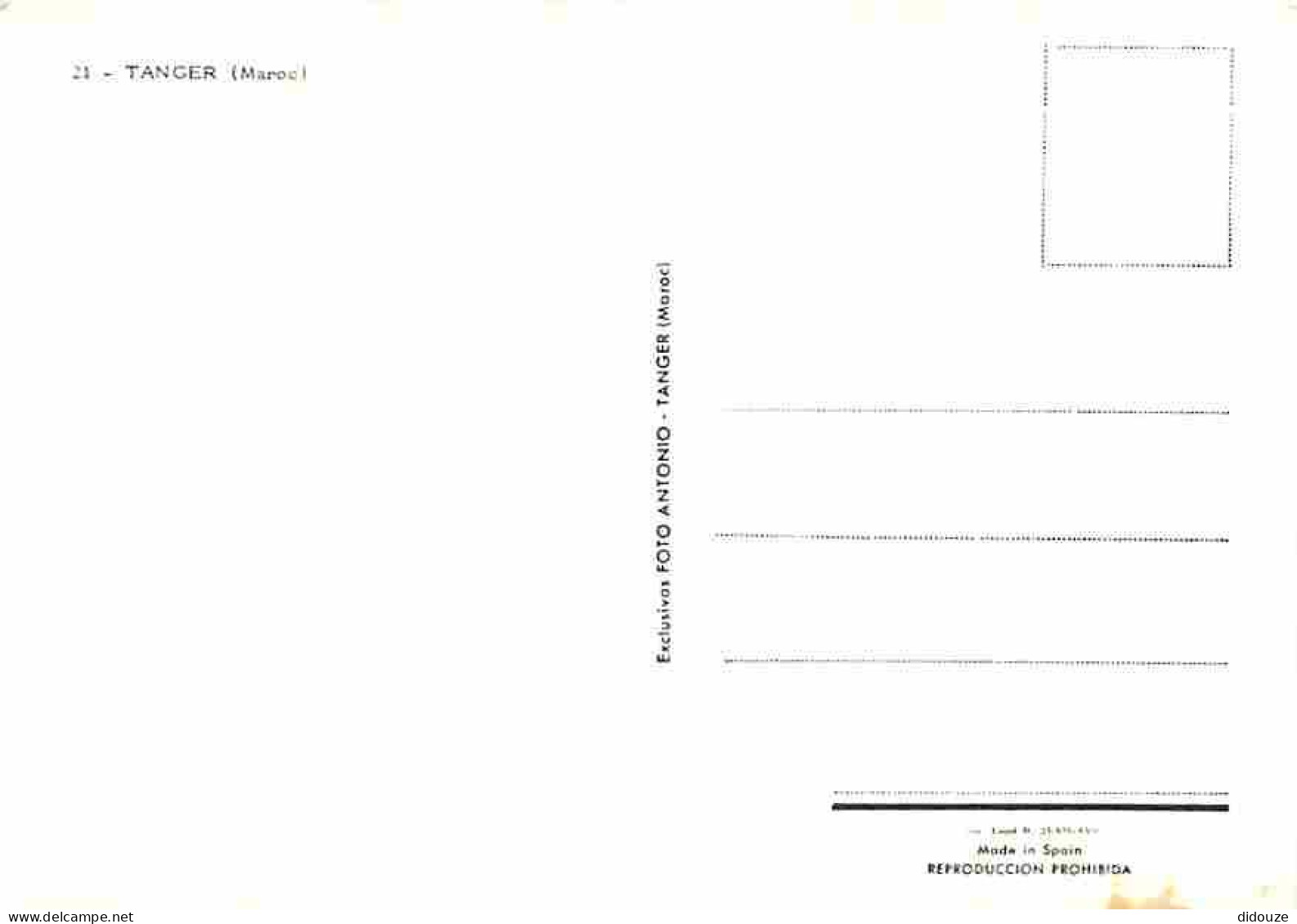 Maroc - Tanger - Multivues - CPM - Voir Scans Recto-Verso - Tanger