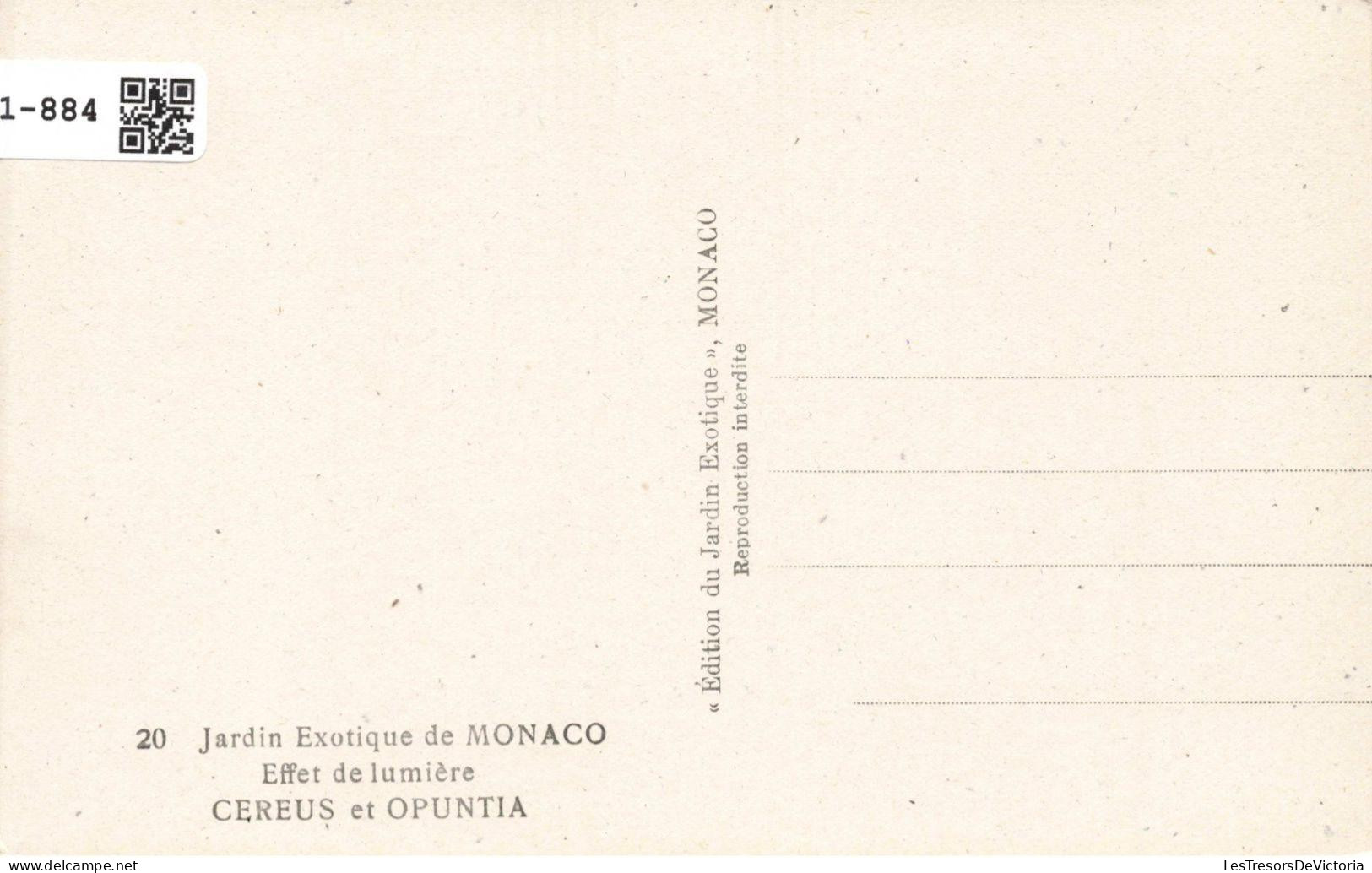 [-30%] MONACO - Jardin Exotique - Effet De Lumière - CEREUS Et OPUNTIA - Cactus - Carte Postale Ancienne - Exotic Garden