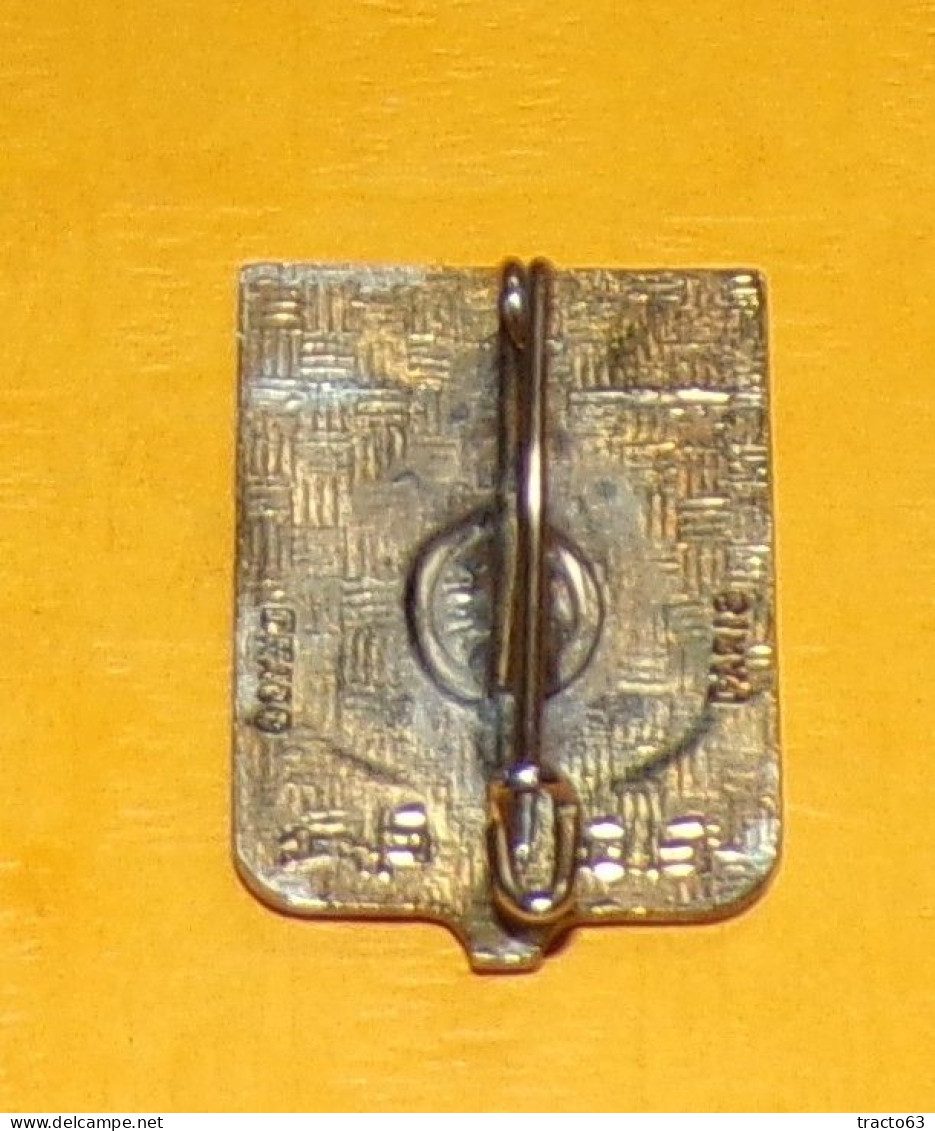 Escadrille 9 S, émail, Dos Guilloché,” Idéogrammes Au Dos” , écu Au Pingouin Vert Et Bleu, à Un Oiseau Blanc Sur La Tête - Airforce