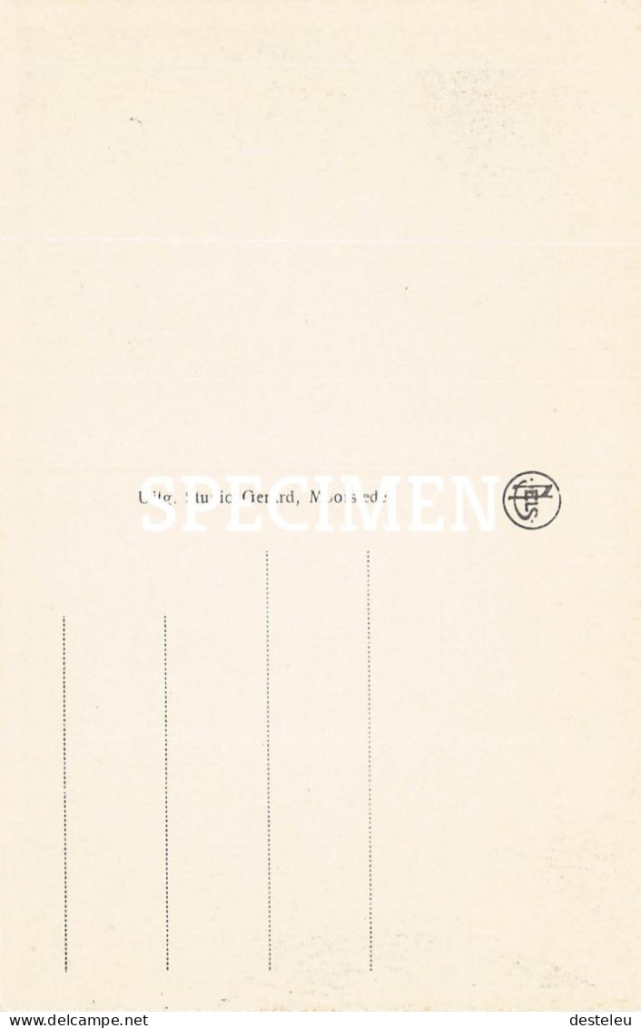 Moorslede - Dadizeelstraat - Moorslede