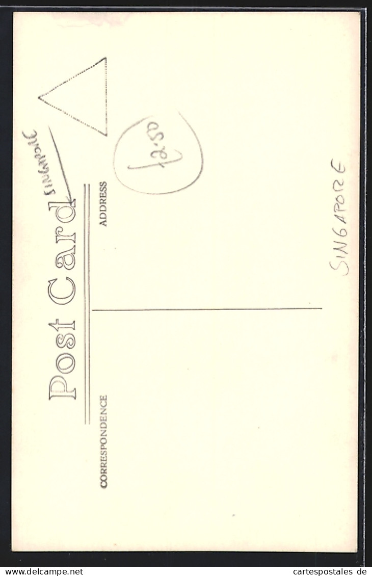 AK Singapur, Kokosnusspalme - Singapur