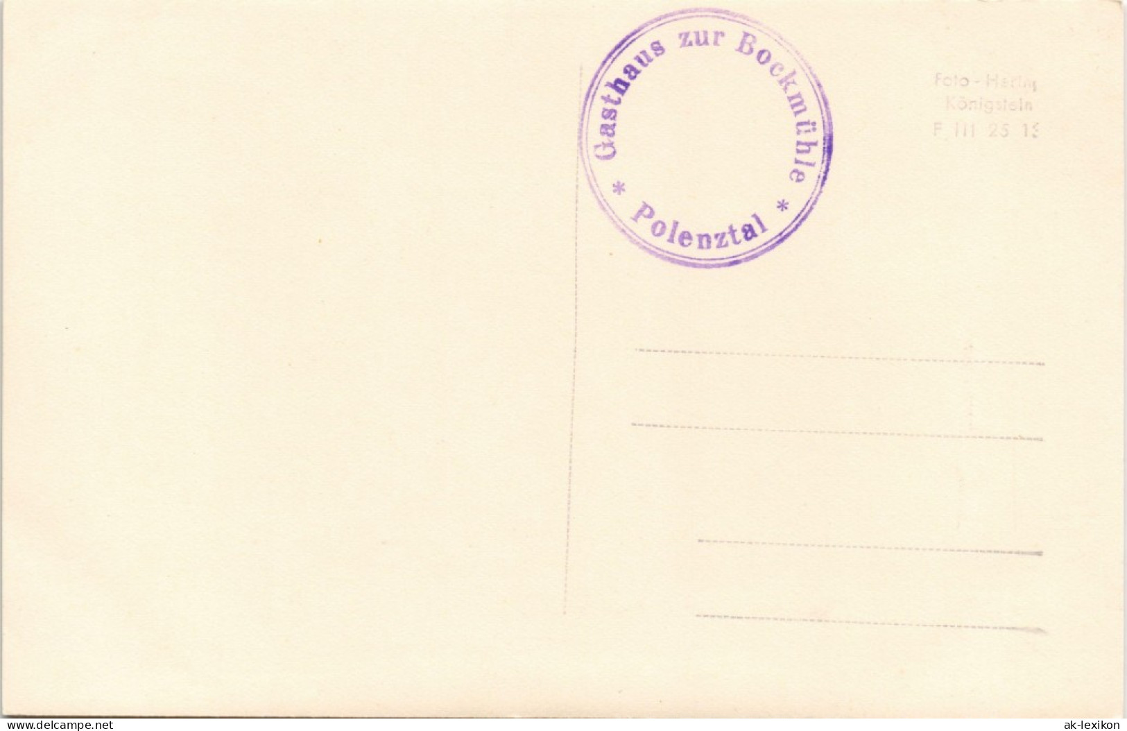 Polenz-Neustadt (Sachsen) Märzenbecherblüte An Der Bockmühle Im Polenztal 1955 # - Neustadt