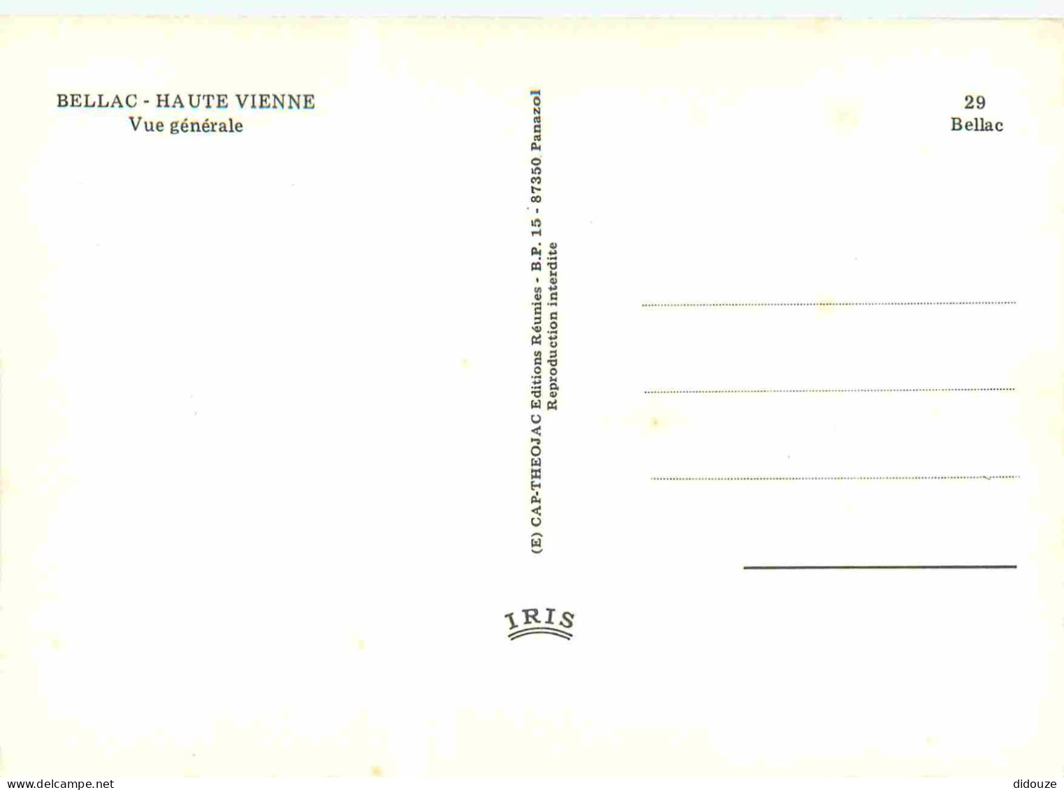 87 - Bellac - Vue Générale - CPM - Voir Scans Recto-Verso - Bellac