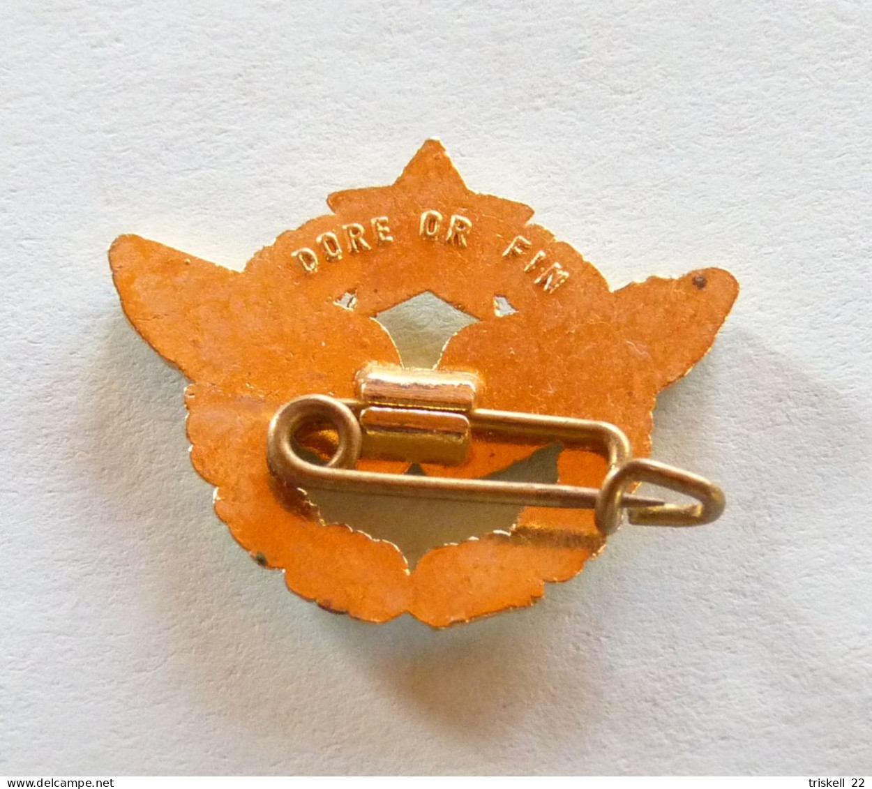 Pilote Armée De L'Air / Avion / Doré Or Fin - Attache Présente - Militair & Leger