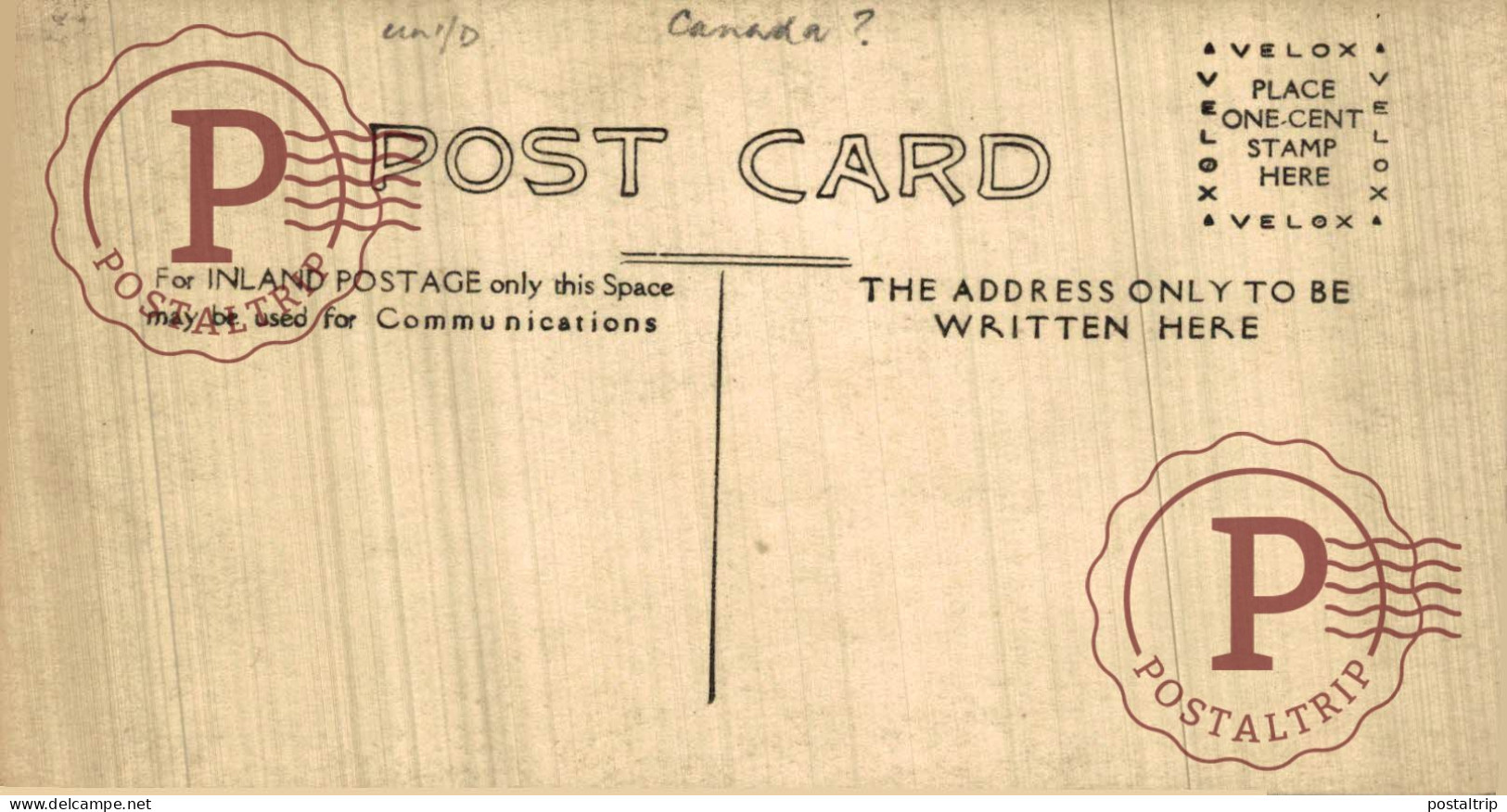 Canada RPPC Winter Street Scene Horse-Drawn Sleighs On Tree-Lined Avenue C.1907-1917 Velox Real Photo Postcard Winnipeg? - Winnipeg