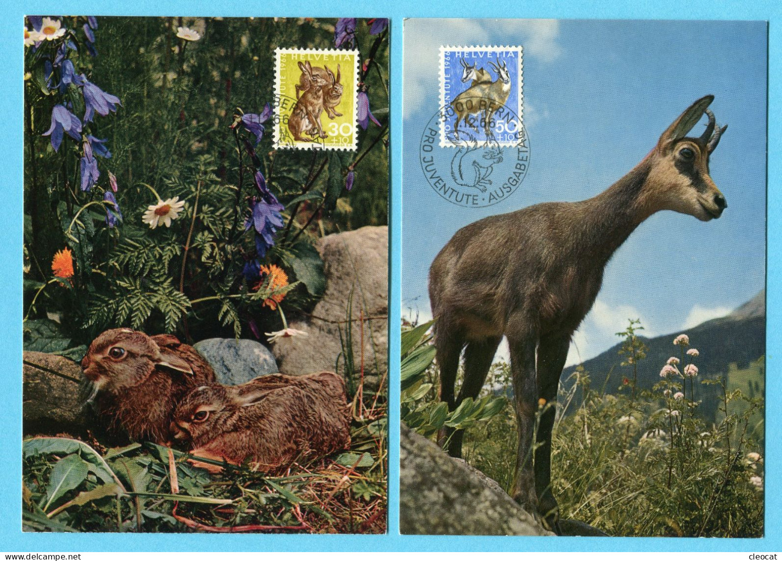 5 Maximumkarten Por Juventute 1966 - Briefe U. Dokumente