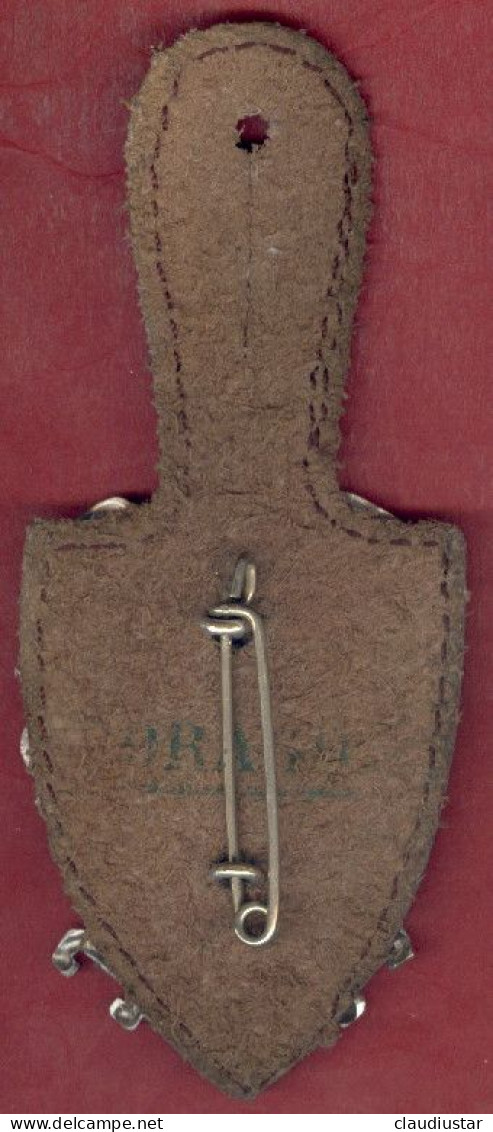 ** INSIGNE  MENBRE  ACTIF ** - Firemen